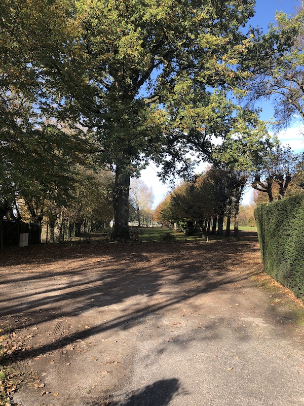 Jeu de paume
